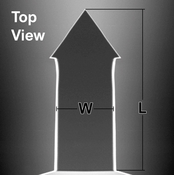 ARROW™ AFM カンチレバーの上方から見たSEMイメージ