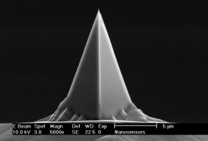 Consistent AFM tip shape leading to reproducible results – NANOSENSORS PointProbe® Plus Screencast passes 1000 views mark - news