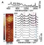 TERS spectra.JPG