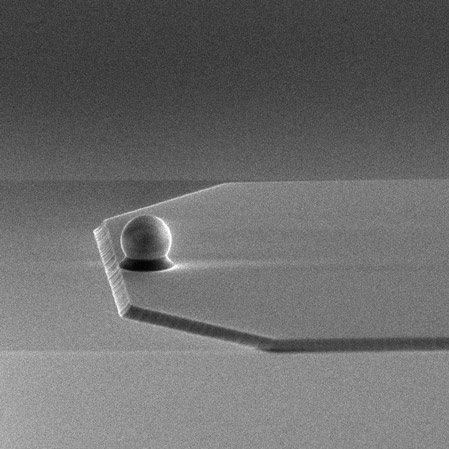 SEM image of sQube® Colloidal AFM Probe CP-qp-CONT-SiO-B