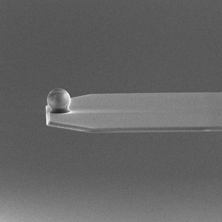 SEM image of sQube® Colloidal AFM Probe CP-qp-SCONT-BSG-A