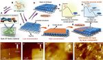 Platinum coated ElectriMulti75-G AFM probes support the research of two-dimensional silk