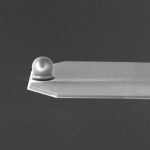 sQube large-diameter microspheres are now available on the soft, quartz-like AFM cantilevers of the “qp” series by NANOSENSORS™